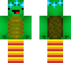 turtle socks