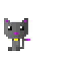 edited kitty