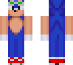 sonic riders sonic