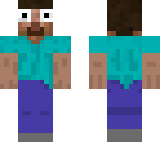 the steve