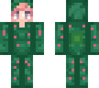 turtle with pink hair