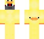 turtleduck