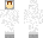 ech0 arctic