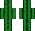 racsocactus