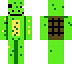 turtle pirate