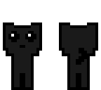 black kitty