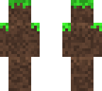dirt