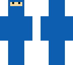 blue ninja