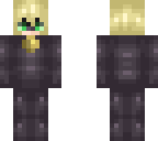 chat noir
