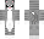 cute cat