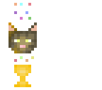 skin contest