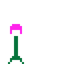 chomper