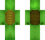 weird turtle