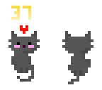 37 cats