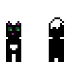 black cat
