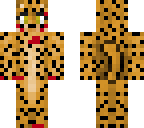cheetah that haz attacked