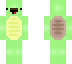mustache turtle