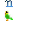 11 parakeets