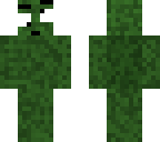 derpy camo guy