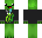 i like turtles