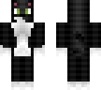 my cat