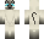 siamese cat
