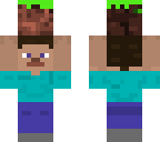 steve holding a grass block