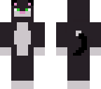 cute cat
