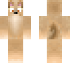 cute chihuahua