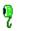 jse's eye