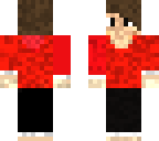 me in minecraft