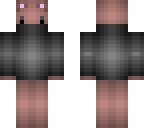 assassin sqiurrel edited