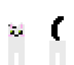 my cat