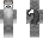 warior cat
