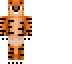 2d orange tiger