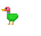 radical duck