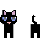 black cat