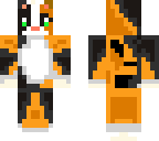 calico cat
