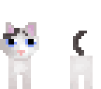 my cat