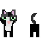 my cat edit
