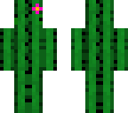 flower-cacti