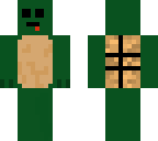 turtle