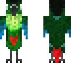 green cheek conure