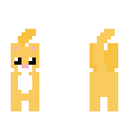 kitty cat