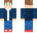 minecrafter boy