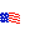 the american flag