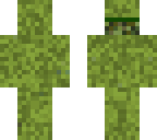 camouflage