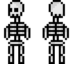 complete skeleton
