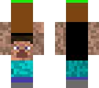 steve holding dirt block