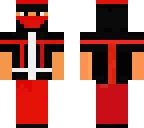 the ninja